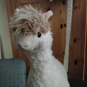 Meet your Posher, Laci